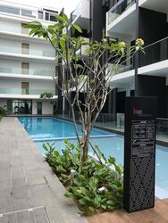 Kap Residences (D21), Apartment #596086441